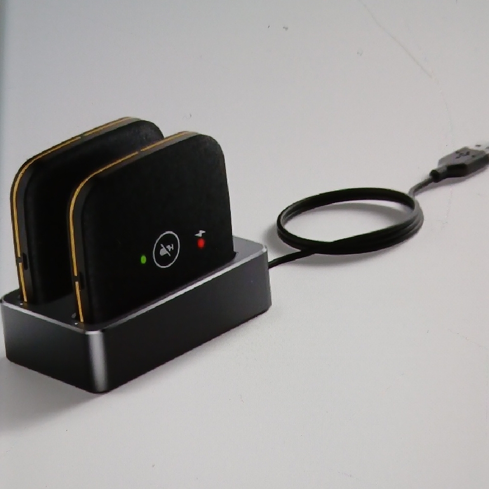 Wireless Dual Microphone Set with Charging Dock - Black and Gold